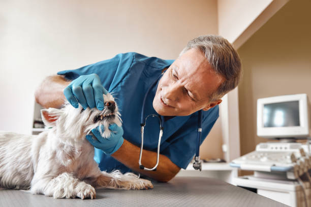 Best 24-Hour Emergency Dental Care in Cochran, GA